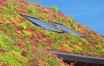 Hartley Green living roof systems